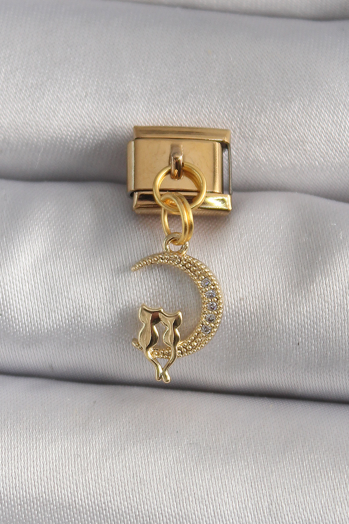 Erb%20316L%20Çelik%20Gold%20Renk%20Zirkon%20Taşlı%20Hilal%20Model%20Kedi%20Detay%20Nomination%20Charm