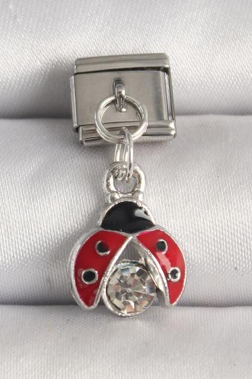 Erb 316L Çelik Gümüş Renk Zirkon Taşlı Uğur Böceği Model Nomination Charm
