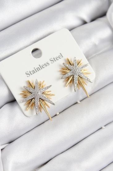 Erb 316L Çelik Zirkon Taşlı Kutup Yıldızı Model Gold Ve Gümüş Renk Kadın Küpe